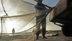 Read more about the article Oceans economy to boost industry job prospects in Cape Town